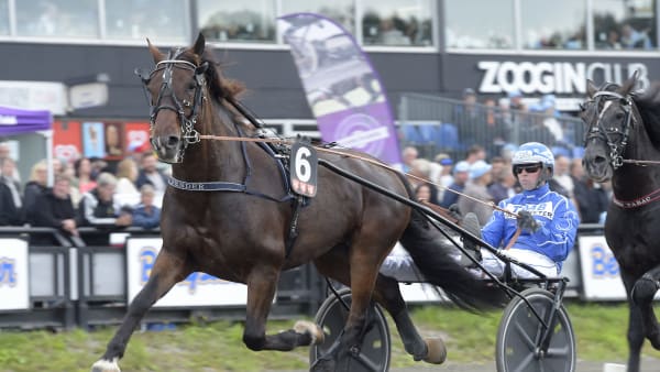 Foto: LARS JAKOBSSON / TR BILD