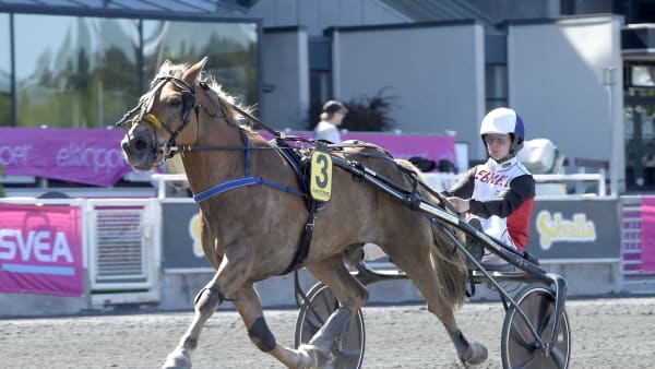 Foto: LARS JAKOBSSON / TR BILD