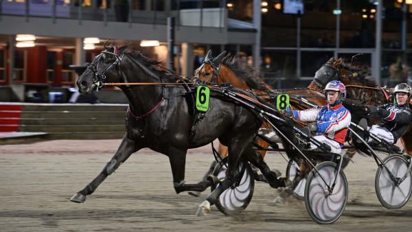 Foto: MALIN ALBINSSON / TR BILD