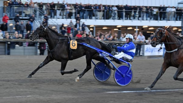 Foto: MALIN ALBINSSON / TR BILD