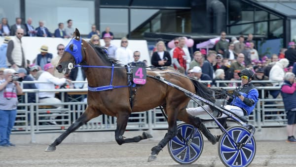 Foto: LARS JAKOBSSON / TR BILD