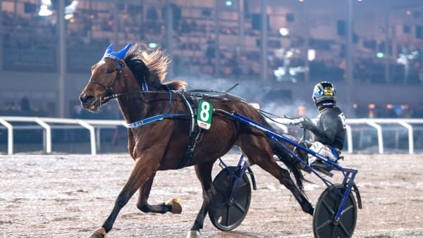 Foto: MIKAEL ROSENQUIST / TR BILD