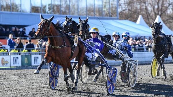 Foto: MALIN ALBINSSON / TR BILD