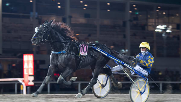 Foto: MIKAEL ROSENQUIST / TR BILD