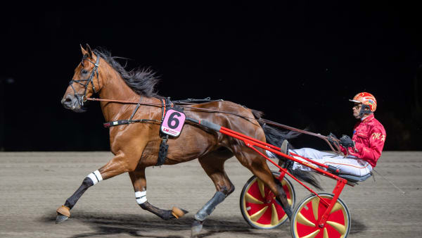 Foto: MIKAEL ROSENQUIST / TR BILD