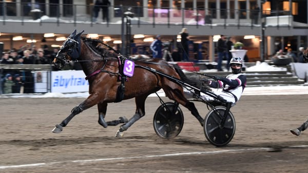 Foto: MALIN ALBINSSON / TR BILD