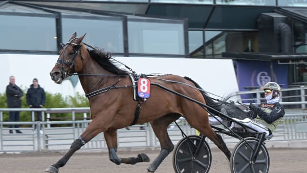 Foto: LARS JAKOBSSON / TR BILD