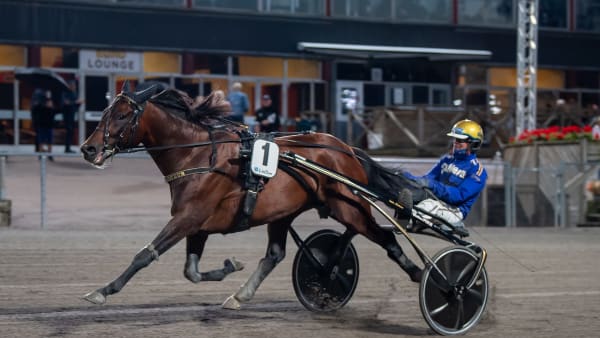 Foto: MIKAEL ROSENQUIST / TR BILD