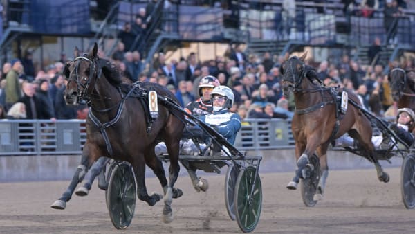 Foto: LARS JAKOBSSON / TR BILD