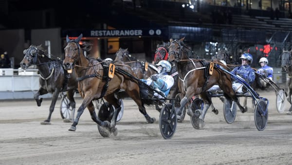 Foto: LARS JAKOBSSON / TR BILD