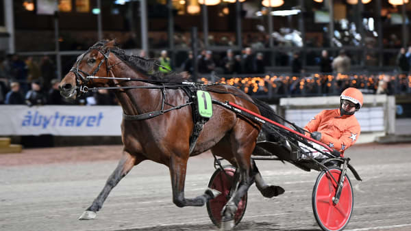 Foto: MALIN ALBINSSON / TR BILD