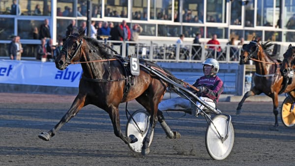 Foto: MALIN ALBINSSON / TR BILD