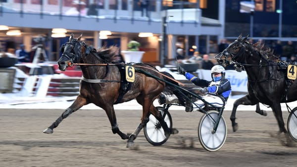 Foto: MALIN ALBINSSON / TR BILD