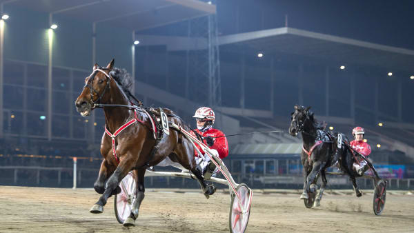 Foto: MIKAEL ROSENQUIST / TR BILD