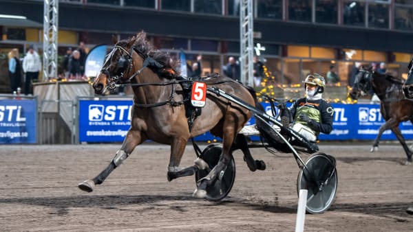 Foto: MIKAEL ROSENQUIST / TR BILD