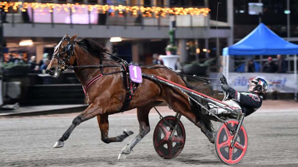 Foto: MALIN ALBINSSON / TR BILD