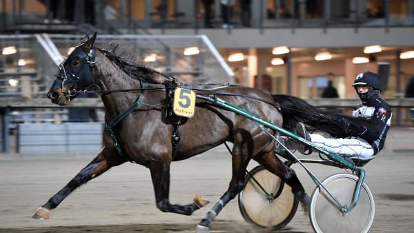 Foto: MALIN ALBINSSON / TR BILD