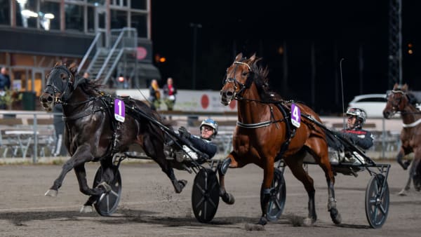 Foto: MIKAEL ROSENQUIST / TR BILD