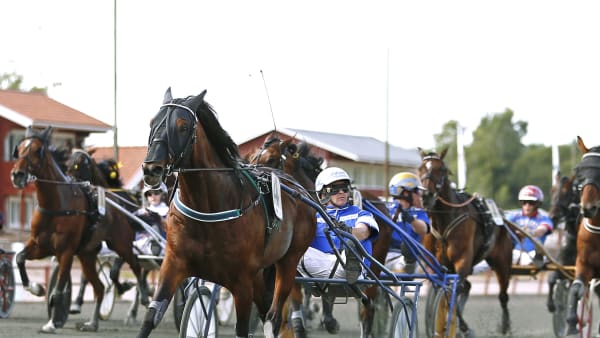 Foto: MARIA HOLMÉN / TR BILD