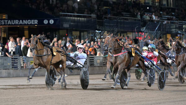 Foto: LARS JAKOBSSON / TR BILD
