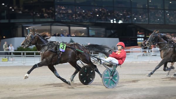 Foto: LARS JAKOBSSON / TR BILD