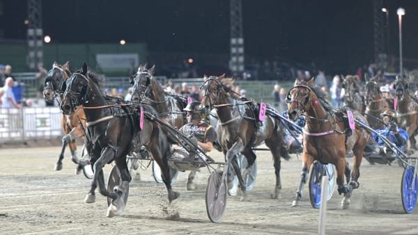 Foto: LARS JAKOBSSON / TR BILD