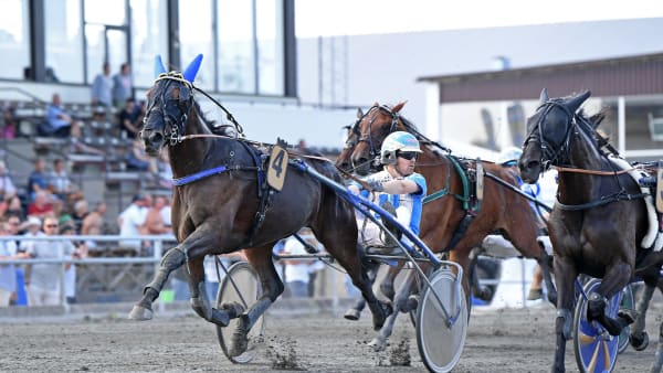 Foto: MALIN ALBINSSON / TR BILD