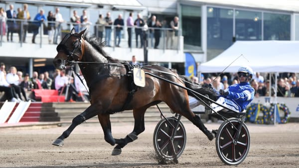 Foto: MALIN ALBINSSON / TR BILD