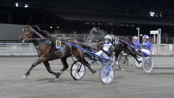 Foto: LARS JAKOBSSON / TR BILD