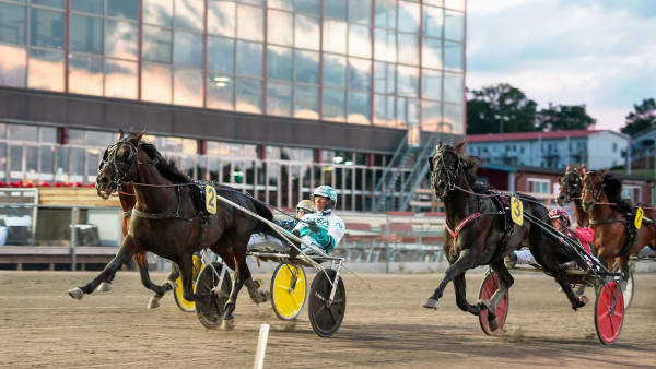 Foto: MIKAEL ROSENQUIST / TR BILD