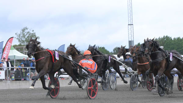 Foto: LARS JAKOBSSON / TR BILD