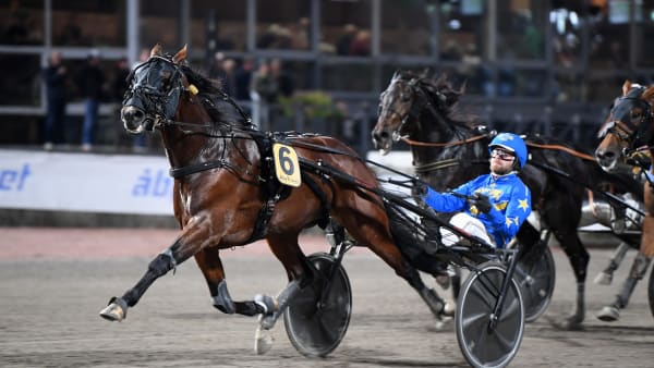 Foto: MALIN ALBINSSON / TR BILD