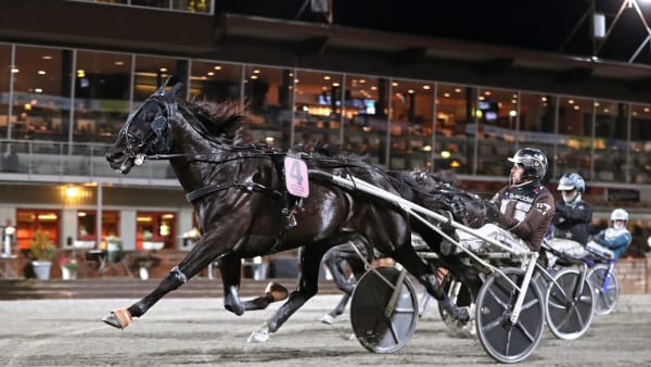 Foto: MARIA HOLMÉN / TR BILD