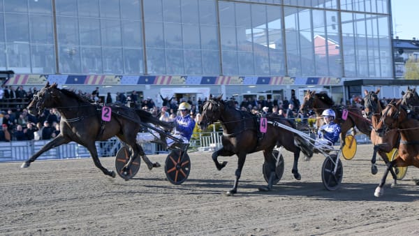 Foto: LARS JAKOBSSON / TR BILD