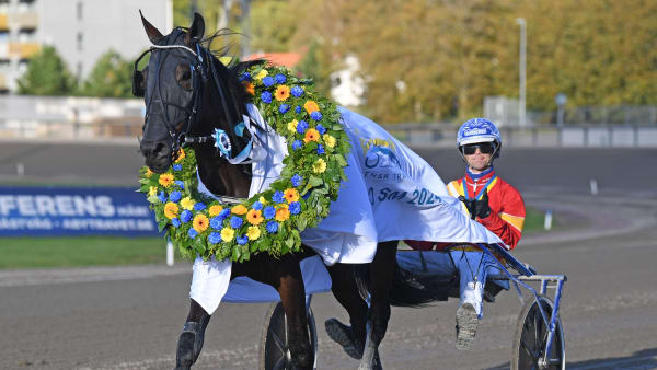 Foto: MALIN ALBINSSON / TR BILD