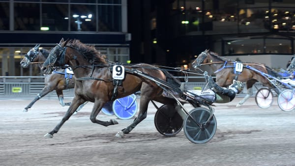 Foto: LARS JAKOBSSON / TR BILD