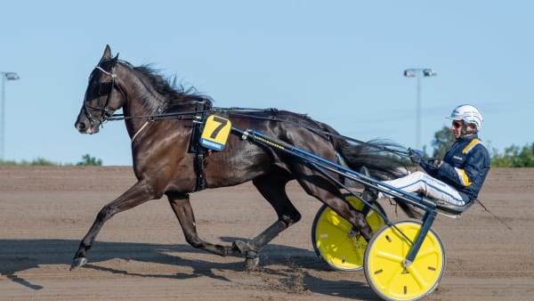 Foto: MIKAEL ROSENQUIST / TR BILD