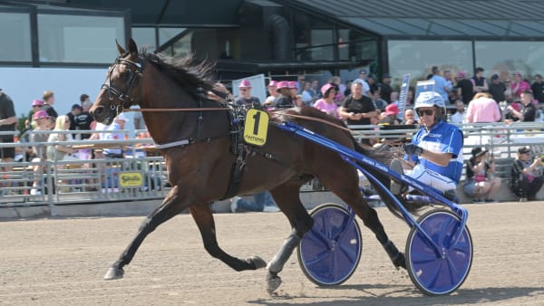 Foto: LARS JAKOBSSON / TR BILD