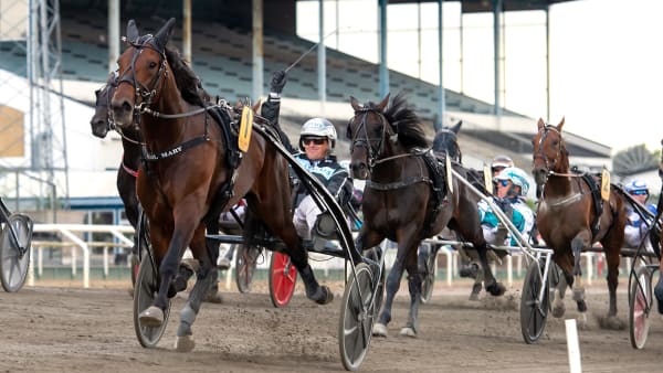 Foto: MIKAEL ROSENQUIST / TR BILD