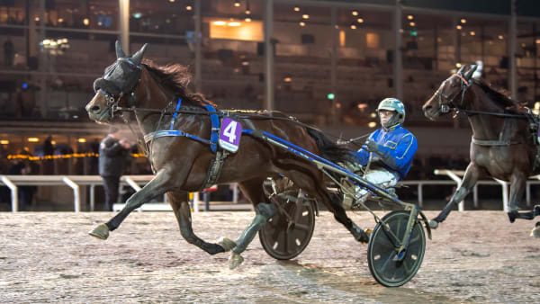 Foto: MIKAEL ROSENQUIST / TR BILD