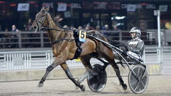 Foto: LARS JAKOBSSON / TR BILD