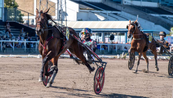 Foto: MIKAEL ROSENQUIST / TR BILD