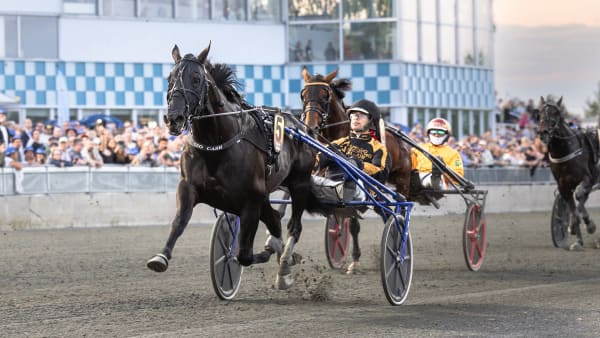 Foto: LENA EMMOTH / TR BILD