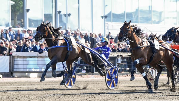 Foto: MALIN ALBINSSON / TR BILD