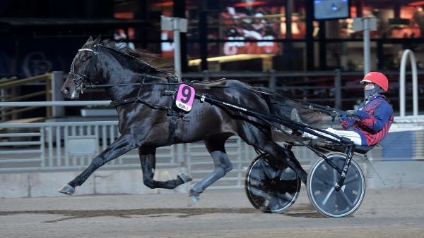 Foto: LARS JAKOBSSON / TR BILD