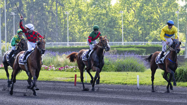 Foto: JEAN-LUC LAMAÈRE/TR BILD