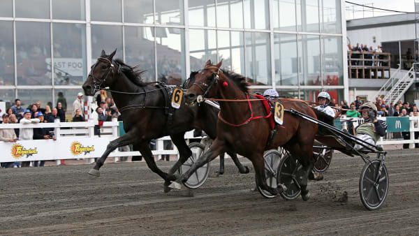 Foto: MATILDA ÖHRMAN / TR BILD