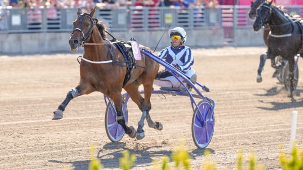 Foto: THOMAS BLOMQVIST / TR BILD