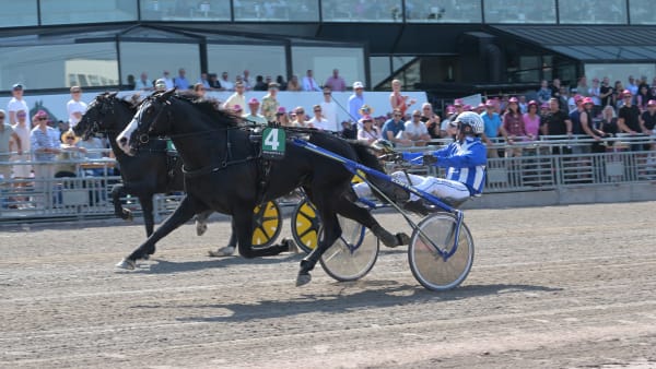 Foto: LARS JAKOBSSON/TR BILD