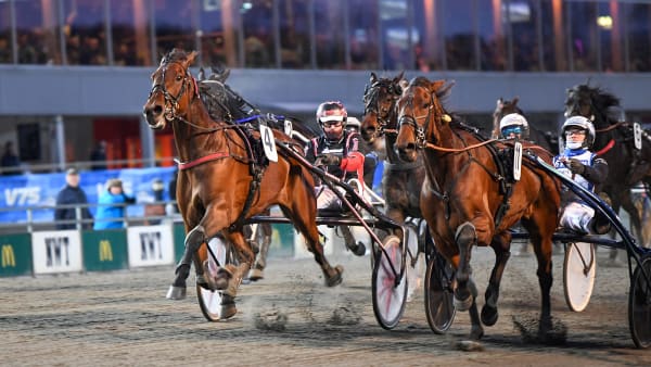 Foto: MALIN ALBINSSON / TR BILD